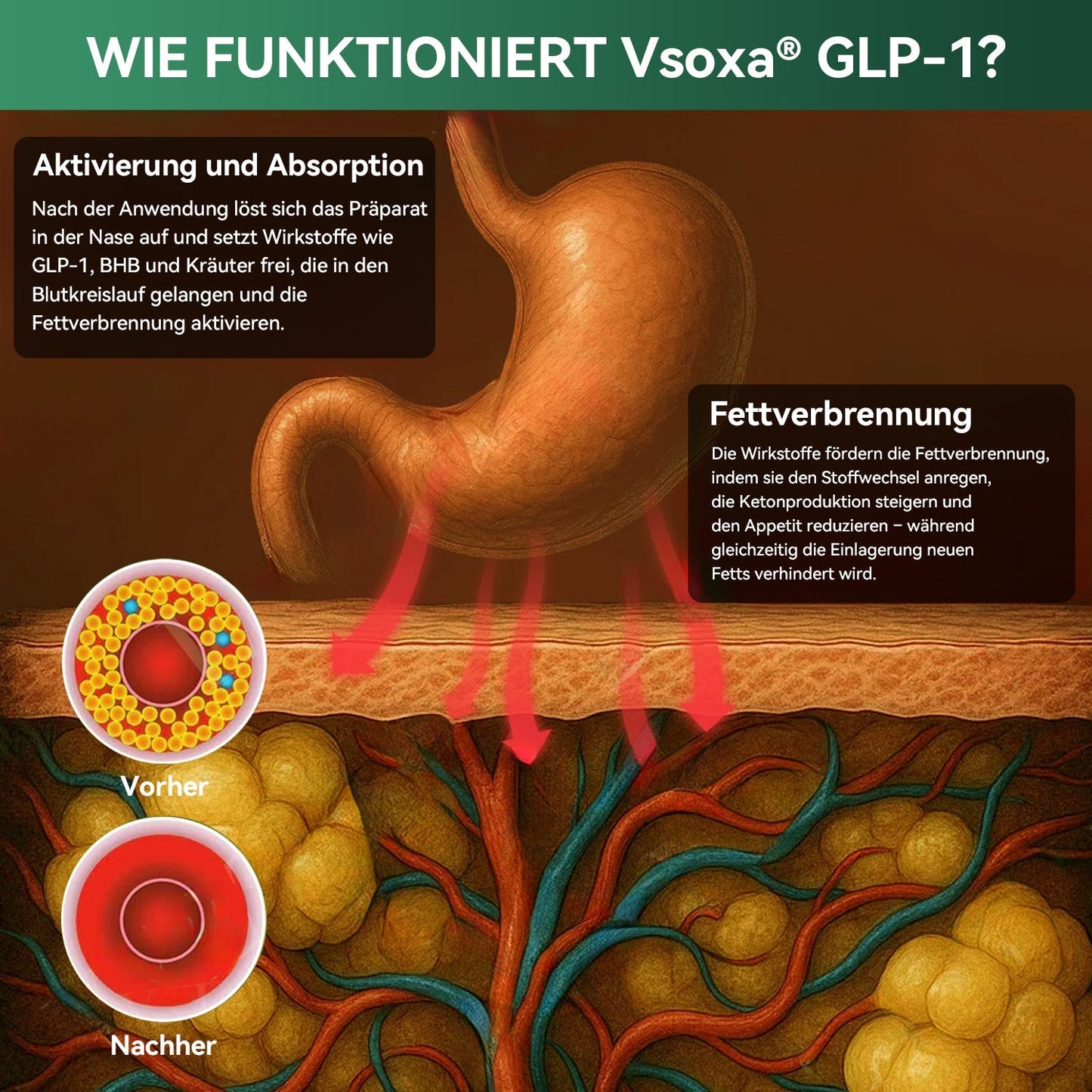 Last day-60%OFF🔥 Inspired by GLP-1 Science — 💎Naturally Sculpt a Healthier You